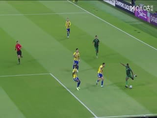 神奇动物在哪里