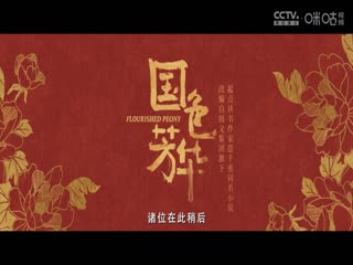 德甲联赛荷尔斯泰因基尔VS多特蒙德20250115