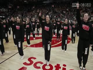 NBA常规赛快船VS猛龙20250203