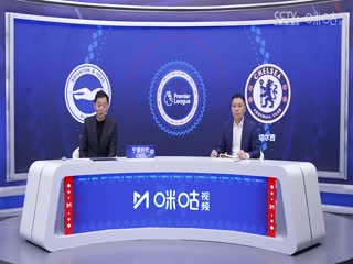 英超联赛布莱顿VS切尔西20250215