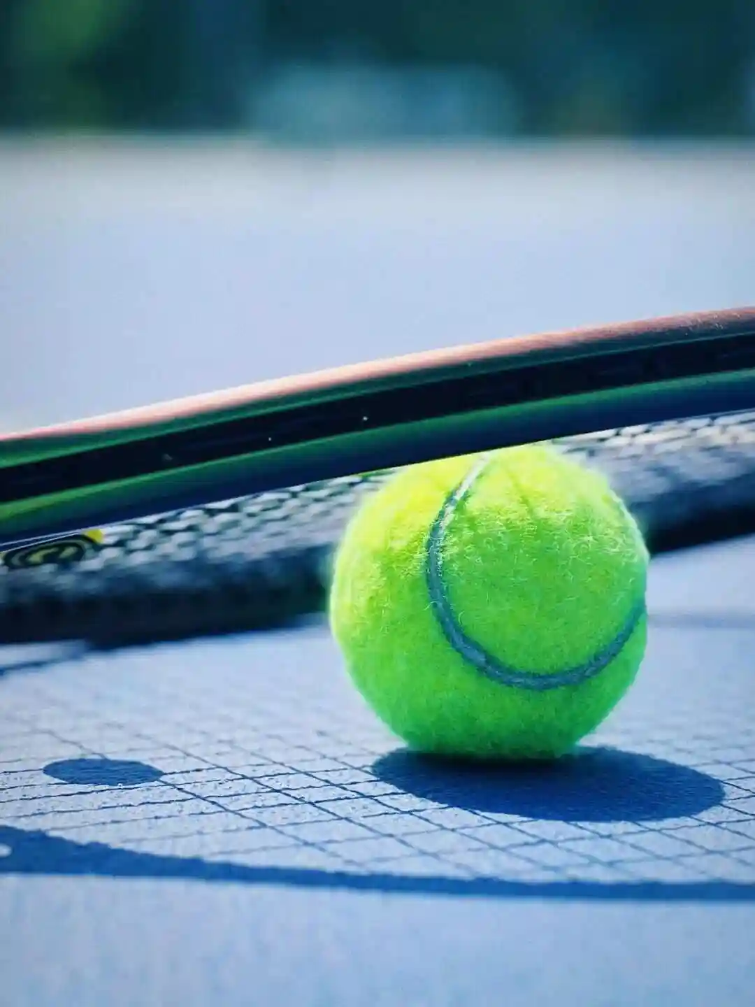 WTA阿布扎比站第三日：陶森VS沃尔特特