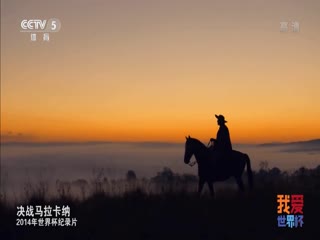 2014年世界杯官方纪录片hdtv