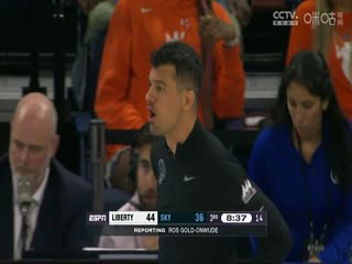 WNBA洛杉矶火花vs华盛顿神秘人20230903