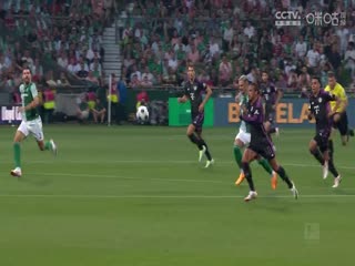 德甲斯图加特vs弗赖堡(吴子越)20230902