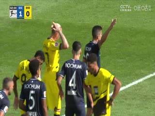 德甲波鸿vs多特蒙德20230826