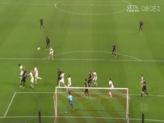 德甲斯图加特vs霍芬海姆(刘洪新)20230527