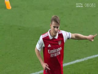 英超布莱顿vs埃弗顿(郭灿亮)20230508