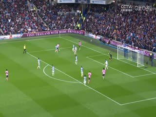 英超布莱顿vs埃弗顿(豆腐)20230508