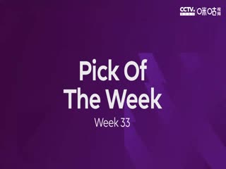 英超布莱顿vs狼队20230429（罗克）