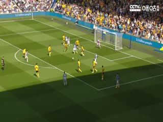 英超布莱顿vs狼队20230429（美杜莎）