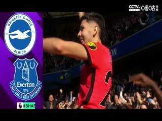 英超布莱顿vs狼队20230429（荆晓林）