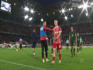 德甲弗赖堡vs沃尔夫斯堡20230519