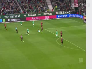 德甲科隆vs柏林赫塔(赵海宸)20230512