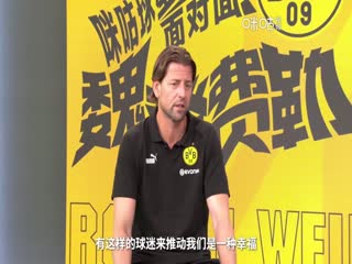 德甲霍芬海姆vs多特蒙德(涂远)20230929