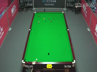 斯诺克加里·威尔逊2-4丁俊晖20231005