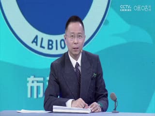 英超布莱顿vs利物浦(詹俊、张路、李子琪)20231008