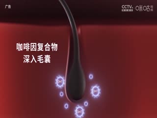 英超切尔西vs阿森纳(詹俊、张路、李子琪)20231021