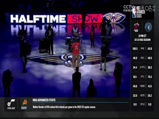 NBA常规赛尼克斯VS鹈鹕20231029