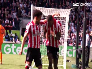 英超切尔西vs布莱顿(林下清风)20230415