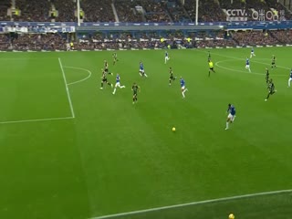 英超埃弗顿vs布莱顿(苗锟)20231104