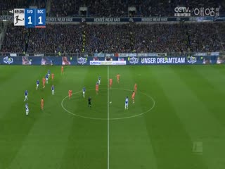 德甲达姆施塔特vs波鸿20231103（王子睿）