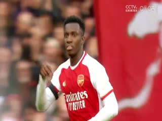 英超纽卡斯尔联vs阿森纳(洪荒)20231104