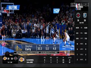 NBA常规赛鹈鹕VS森林狼20231109