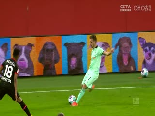 德甲门兴格拉德巴赫vs沃尔夫斯堡(涂远)20231110