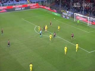 意甲热那亚vs维罗纳(刘腾)20231110