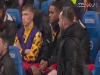 英超布莱顿vs谢菲尔德联(苗锟)20231112