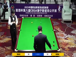斯诺克蔡剑忠1-4袁思俊20230519