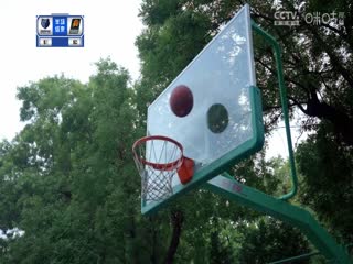 NBA常规赛灰熊VS太阳20231203
