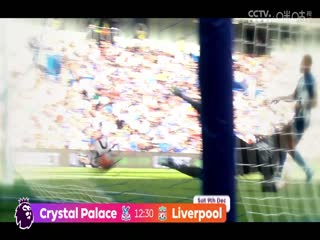 英超布莱顿vs布伦特福德(苗锟)20231206