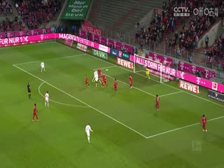 德甲霍芬海姆vs波鸿(涂远)20231208