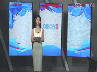 CBA常规赛第17轮深圳马可波罗VS山东高速20231216（徐秦威、徐咏、许家玥）