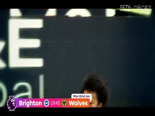 英超水晶宫vs布伦特福德(郭灿亮)20231230