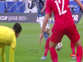 亚洲杯日本vs越南(CCTV5)20240114