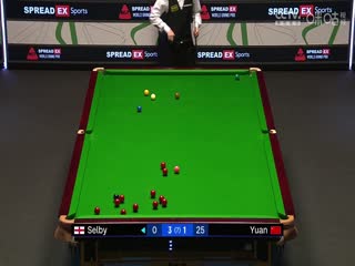 2024斯诺克世界大奖赛马克·塞尔比4-3袁思俊20240115（李照）