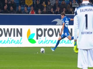 德甲弗赖堡vs霍芬海姆(刘洪新)20240120