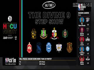 NBA常规赛森林狼VS篮网20240126