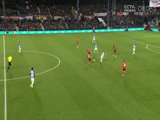 英超卢顿vs布莱顿(刘畅)20240130