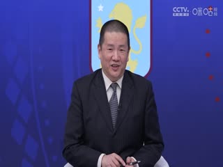 英超阿斯顿维拉vs纽卡斯尔联(娄一晨、刘越)20240130