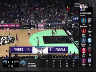 NBA常规赛公牛VS黄蜂20240201