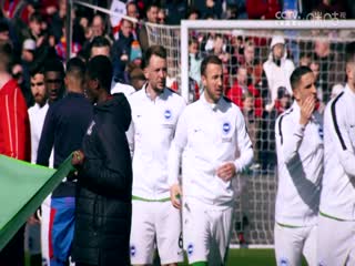 英超纽卡斯尔联vs卢顿20240203（林梦鸽）