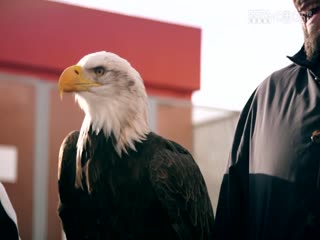 英超阿森纳vs利物浦(陈渤胄)20240204