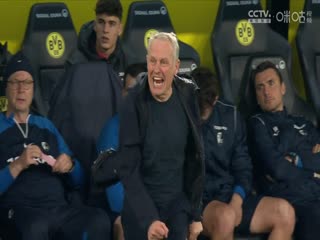 德甲多特蒙德vs弗赖堡(涂远)20240209