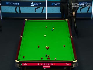斯诺克威尔士公开赛马克·塞尔比4-2袁思俊20240212