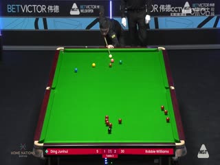 斯诺克威尔士公开赛丁俊晖2-4罗比·威廉姆斯20240213