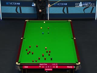 斯诺克威尔士公开赛多米尼克·戴尔4-1斯坦·穆迪20240215