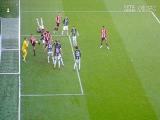 英超谢菲尔德联vs布莱顿20240218（涂远）